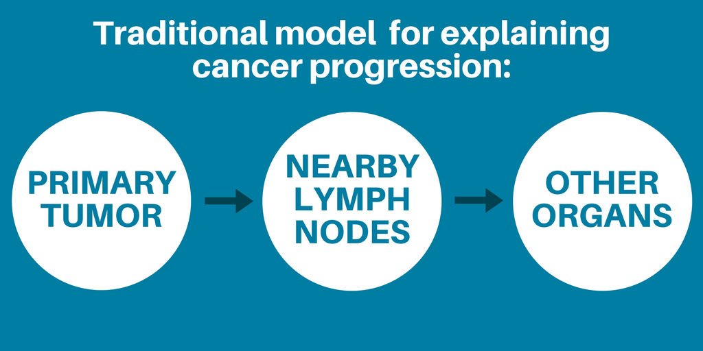Lymph node graphic 1