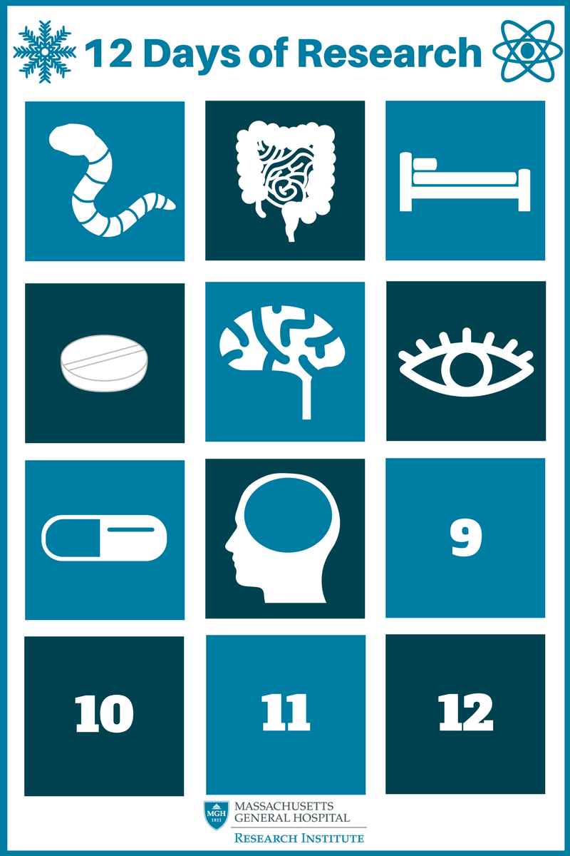 12 Days of Research (11).png