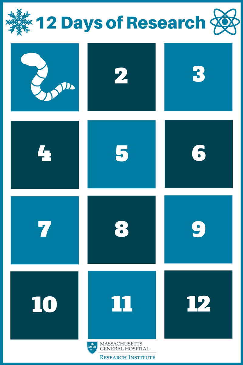12 Days of Research (4).png