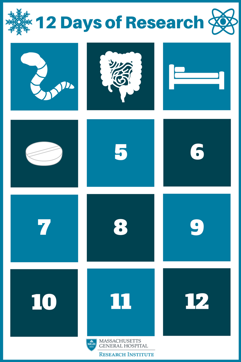 12 Days of Research (7).png