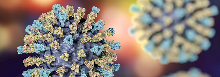 Measles virus